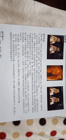 journal_insert_pic_1228736093