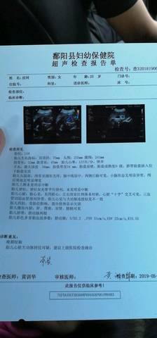 journal_insert_pic_1228873809