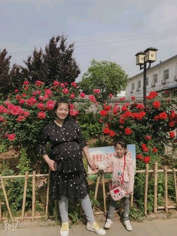 journal_insert_pic_1228954439