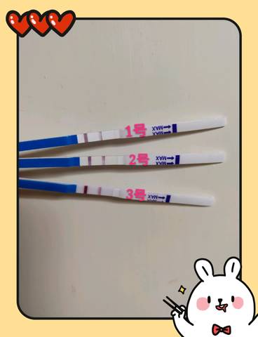 journal_insert_pic_1230146824