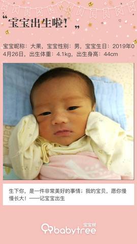 journal_insert_pic_1229852052