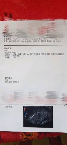 journal_insert_pic_1229703739