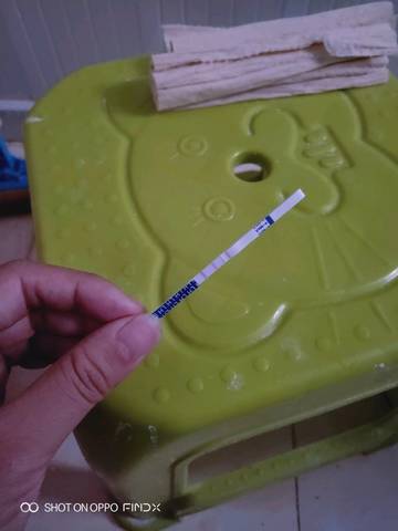 journal_insert_pic_1229716705