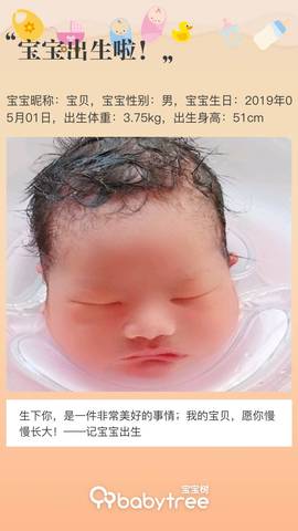 journal_insert_pic_1229420599