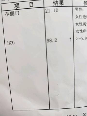 journal_insert_pic_1231236557