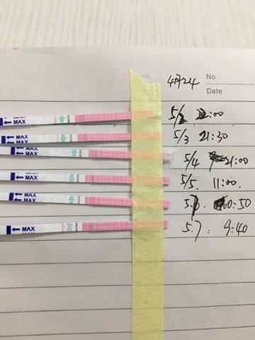 journal_insert_pic_1231209418