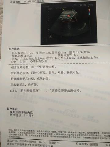 journal_insert_pic_1231306253