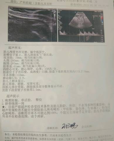 journal_insert_pic_1231117967