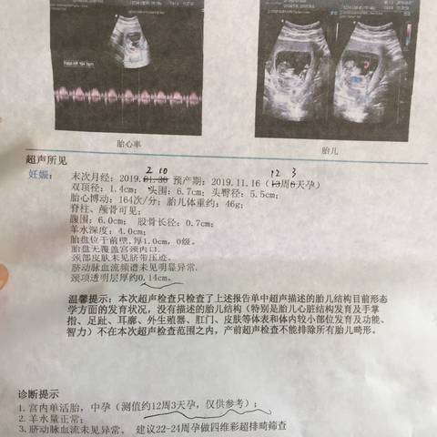 journal_insert_pic_1231155261