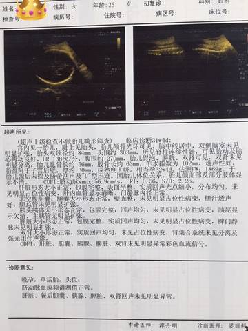 journal_insert_pic_1231829788