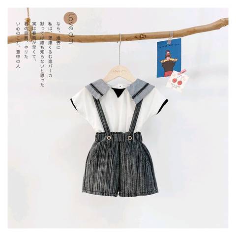 journal_insert_pic_1231682619