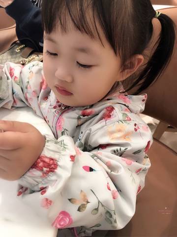 journal_insert_pic_1232401444