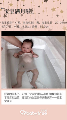 journal_insert_pic_1232445518