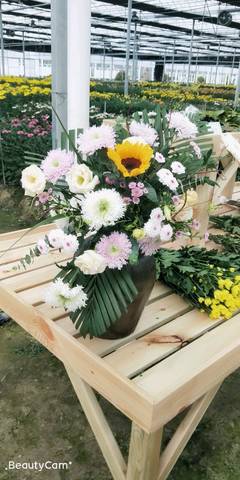 journal_insert_pic_1232966245