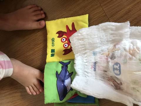 journal_insert_pic_1232962934