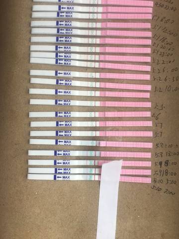 journal_insert_pic_1232846394