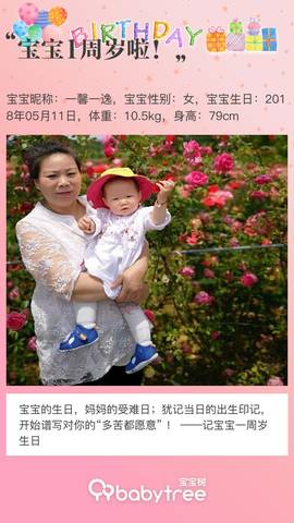 journal_insert_pic_1233380800