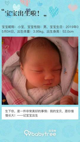 journal_insert_pic_1233688544