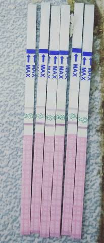 journal_insert_pic_1233765125