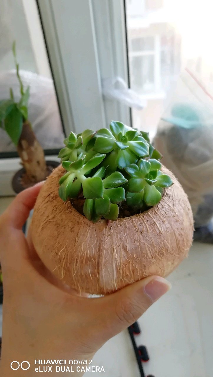 谁谁谁还想要来着