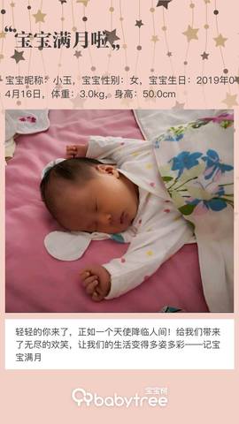 journal_insert_pic_1234827067