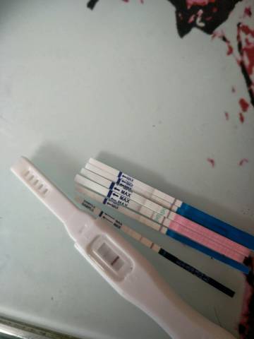 journal_insert_pic_1235122332