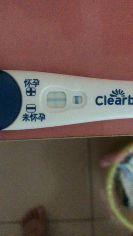 journal_insert_pic_1235098491