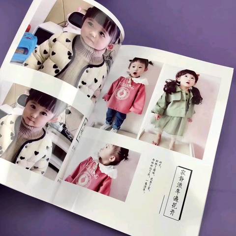 journal_insert_pic_1235797113