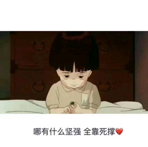 journal_insert_pic_1236451793