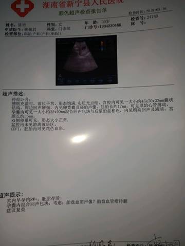 journal_insert_pic_1236827023