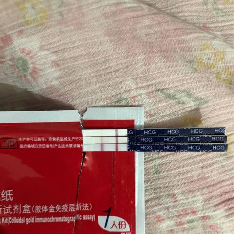 journal_insert_pic_1238663933