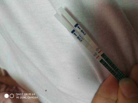 journal_insert_pic_1238958338