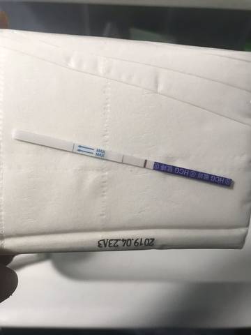 journal_insert_pic_1238925168