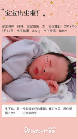 journal_insert_pic_1238983742