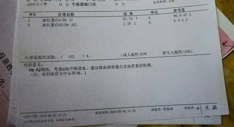 journal_insert_pic_1249625128