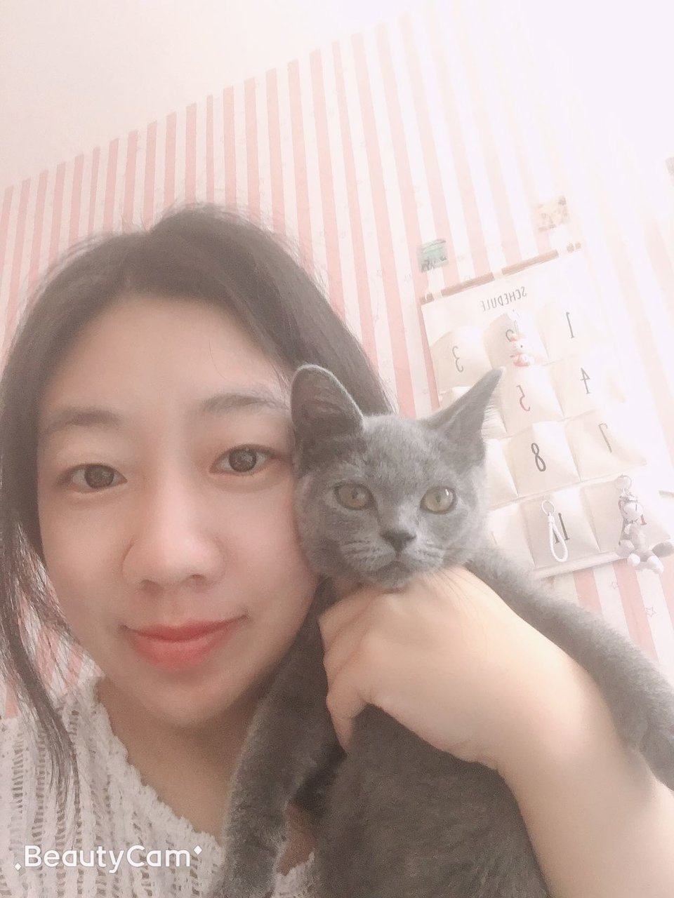 【新手报到】我是一个没有经验的准妈妈！