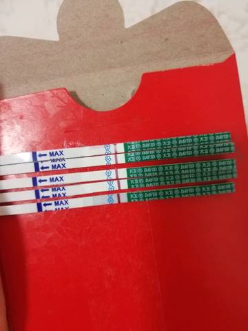 journal_insert_pic_1292902081