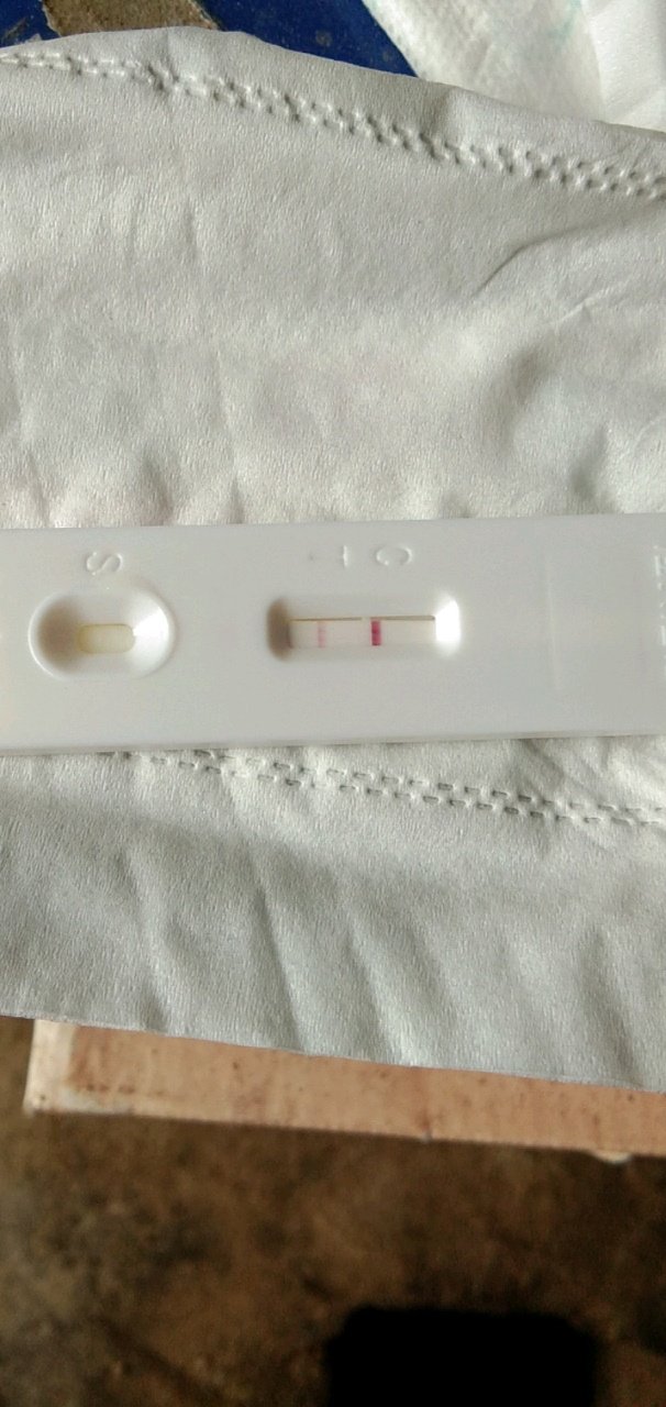 【新手报到】我是汤春英我做试纸一个清楚一个不清楚还留了好几天血
