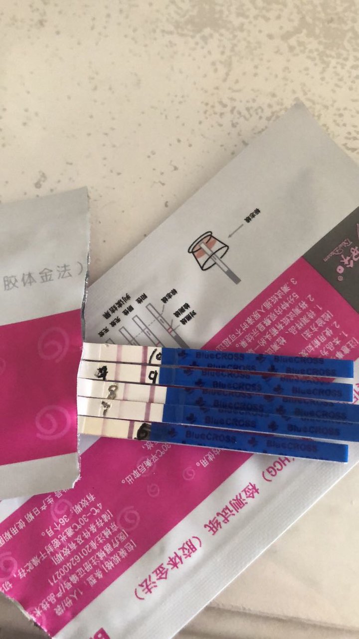 8月4日试管婴儿移植2枚囊胚第六就开奖