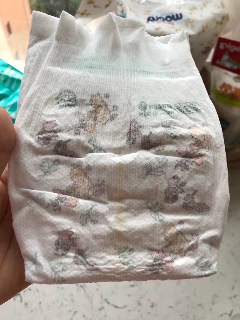 宝树又出什么活动了？