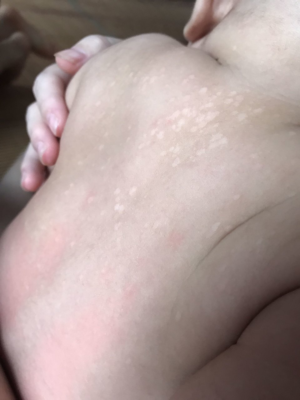 广大的宝宝树的宝妈们，有谁认识这是长的什么东西么？