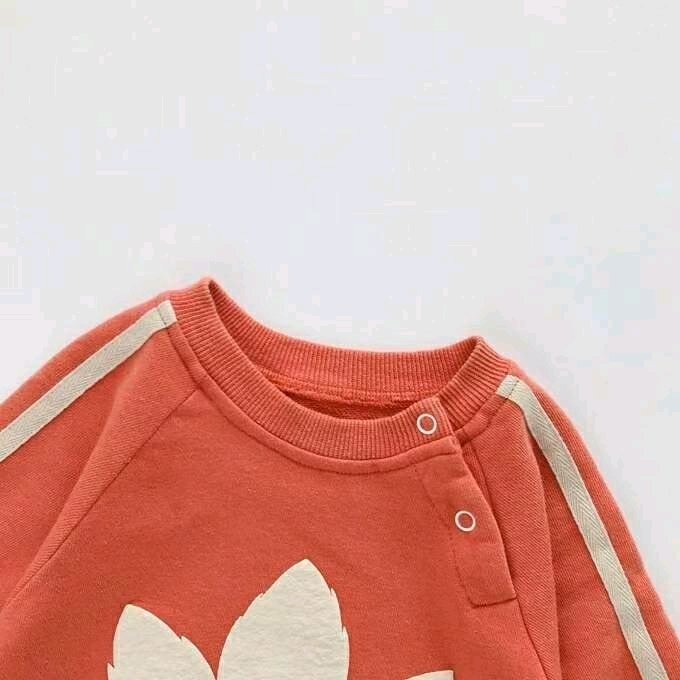 秋款