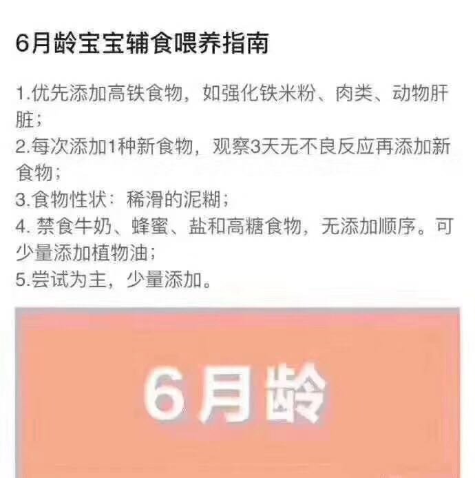 6--24月辅食喂养指南