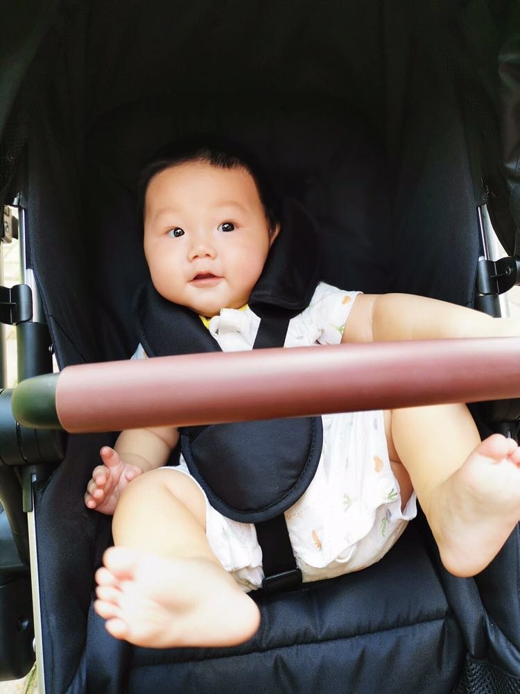 高景观婴儿推车测评 | 谁说高景观就不能轻便