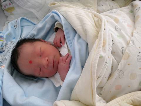 journal_insert_pic_1315251225