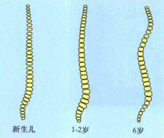 【育儿分享】
