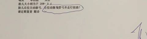 journal_insert_pic_1351084834