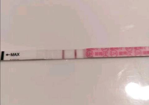 journal_insert_pic_1356999763