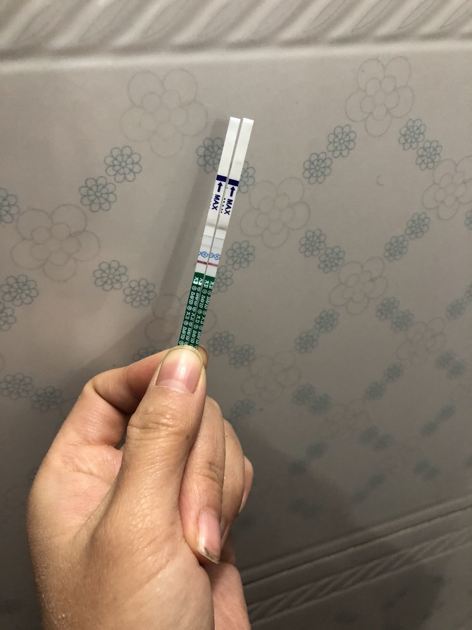 大宝11个月发现又有二胎了