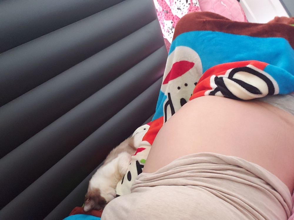 已经33周啦